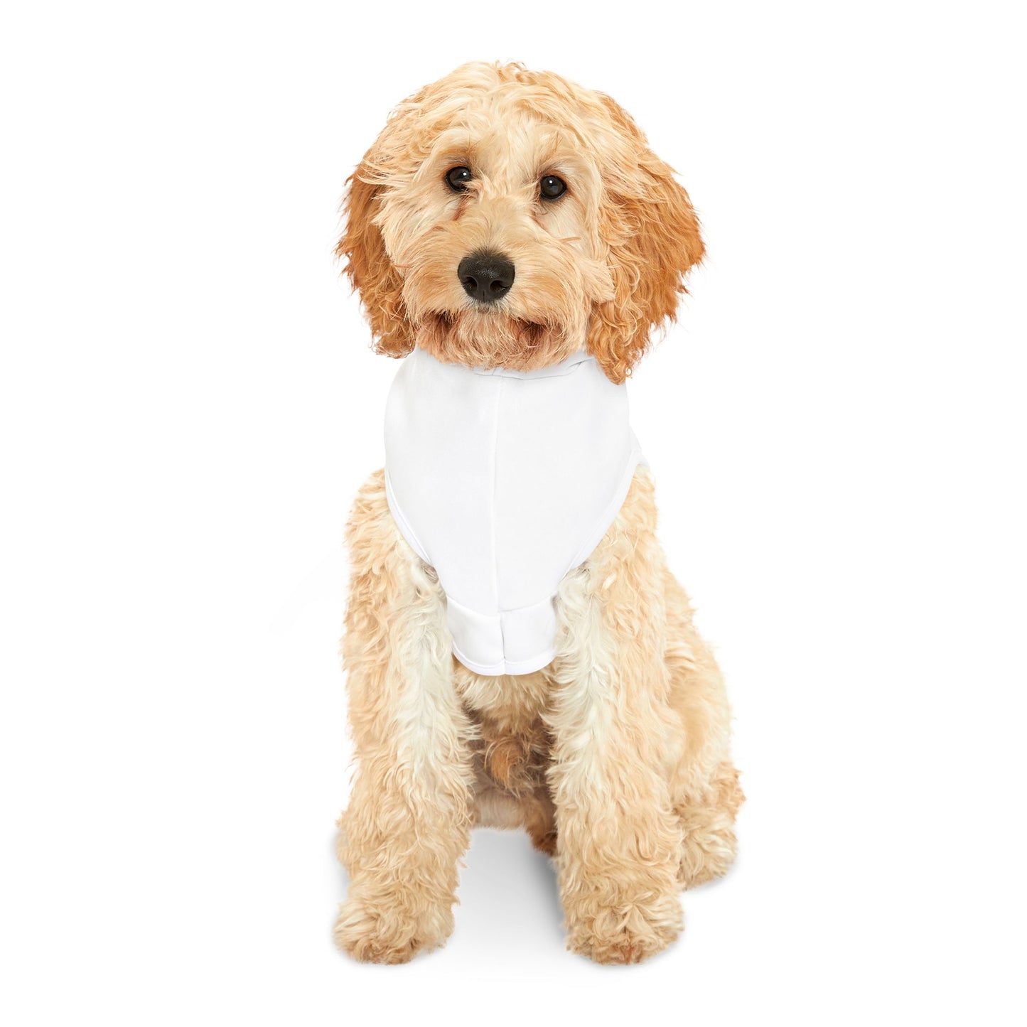 Pet Hoodie - "Always You" Printed Dog & Cat Hoodie